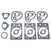 IN-FRAME ENGINE OVERHAUL KIT FOR AGRI-POWER Z5001 - 5000
