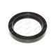 Oil Seal for Case - IH
