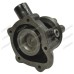 Water Pump for David Brown