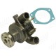 Water Pump for Landini