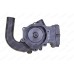 Water Pump for Landini
