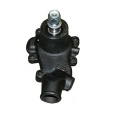 Water Pump for Manitou