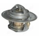Thermostat for Landini