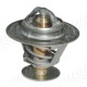 Thermostat for Landini