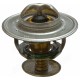 Thermostat for Fiat