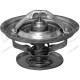 Thermostat for Fiat