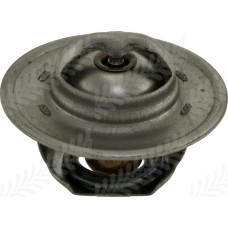 Thermostat for Landini