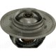 Thermostat for Landini
