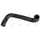 Bottom Hose for Landini