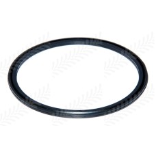 Piston Seal - Inner for Landini