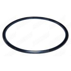 Piston Seal - Outer for Landini