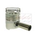 Piston & Rings for New Holland