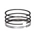 Ring Set for Massey Ferguson