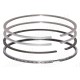 Piston Ring Set - STD for Fiat