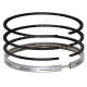 Ring Set for Massey Ferguson