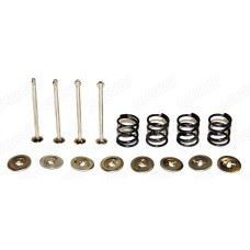 Brake Pin Kit for Massey Ferguson