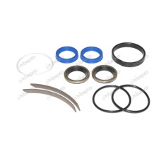 Seal Kit for Landini