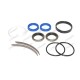 Seal Kit for Landini