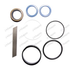 Seal Kit for Landini