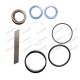 Seal Kit for Landini