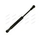 Gas Strut for Case - IH