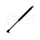 Gas Strut for Case-IH