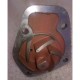 Water Pump (8011) for Zetor Tractor